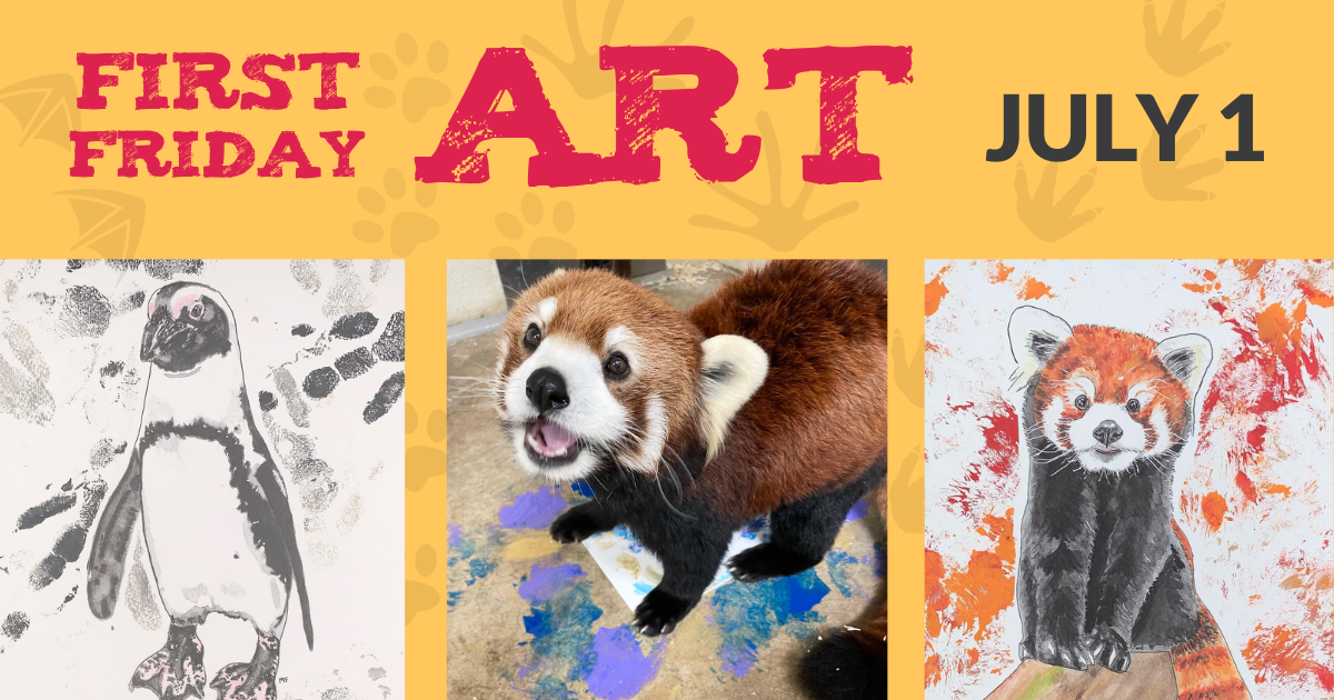 First Friday Animal Art at The Discovery Center