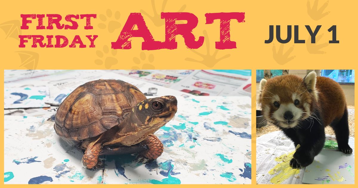 First Friday Animal Art at The Discovery Center
