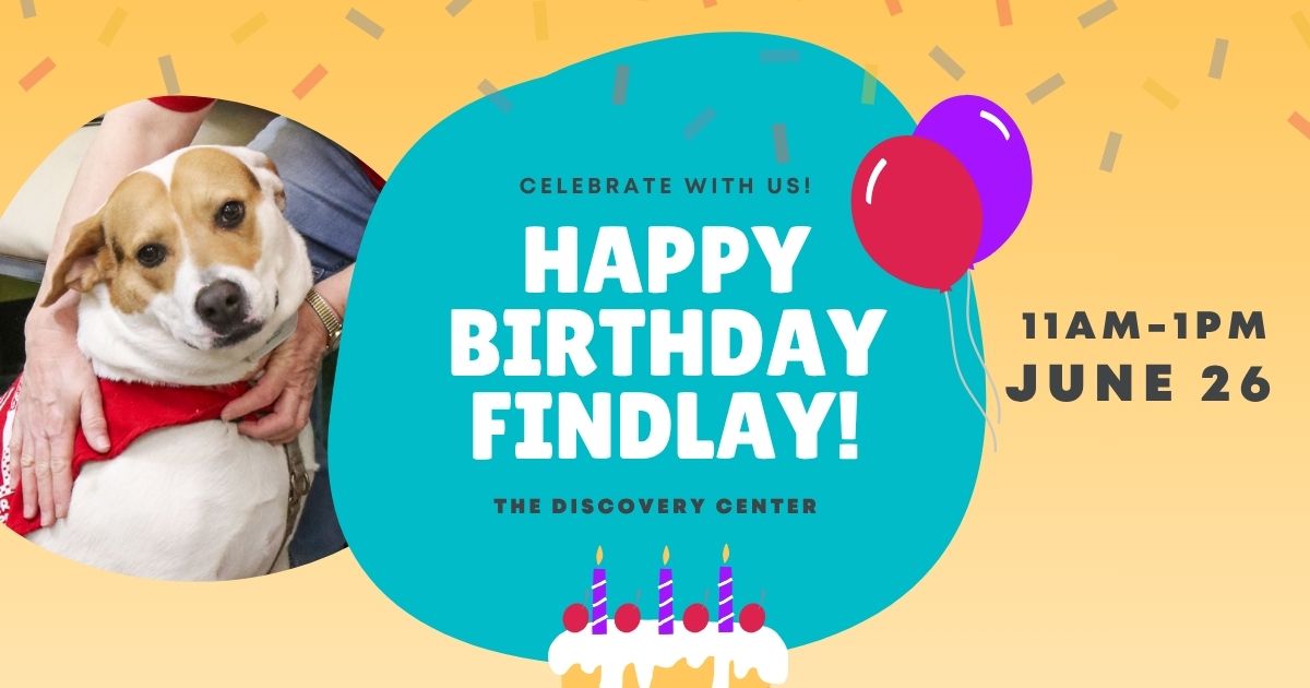 findlay birthday