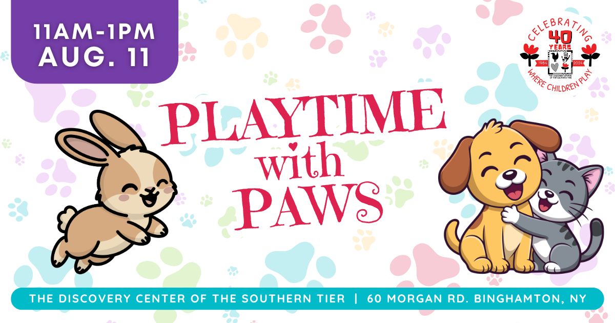 Playtime with Paws